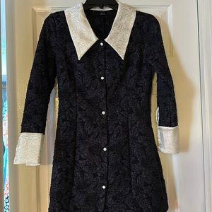 Fitted long sleeve collared dress